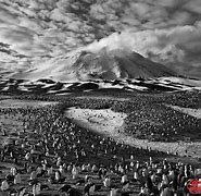 开云体育官网-萨尔加多主教练解约隐情扑朔迷离的简单介绍