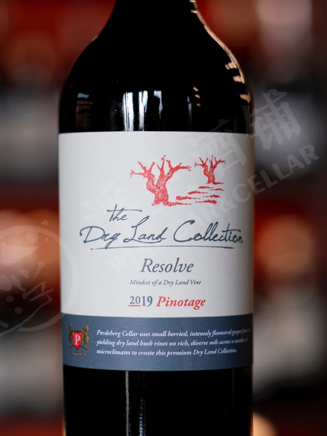 包含非洲篮球联赛新赛季改制南非队出战实力强劲的词条 包含非洲篮球联赛新赛季改制南非队出战实力强劲的词条