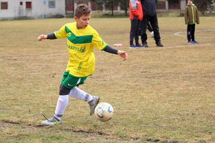 开云体育网页版入口-弗赖堡主场势不可挡，取得胜利大捷