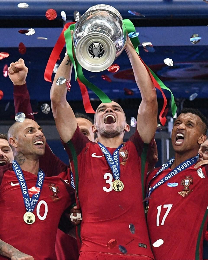 无敌国家队！成功夺得欧洲杯预选赛冠军！的简单介绍